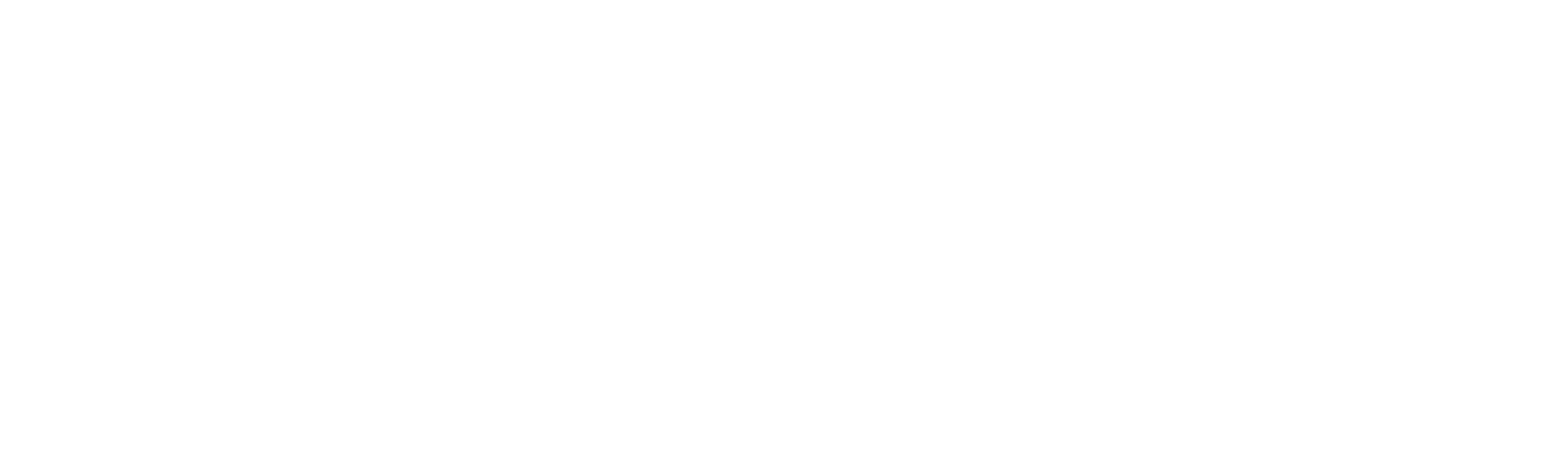 Megix|10